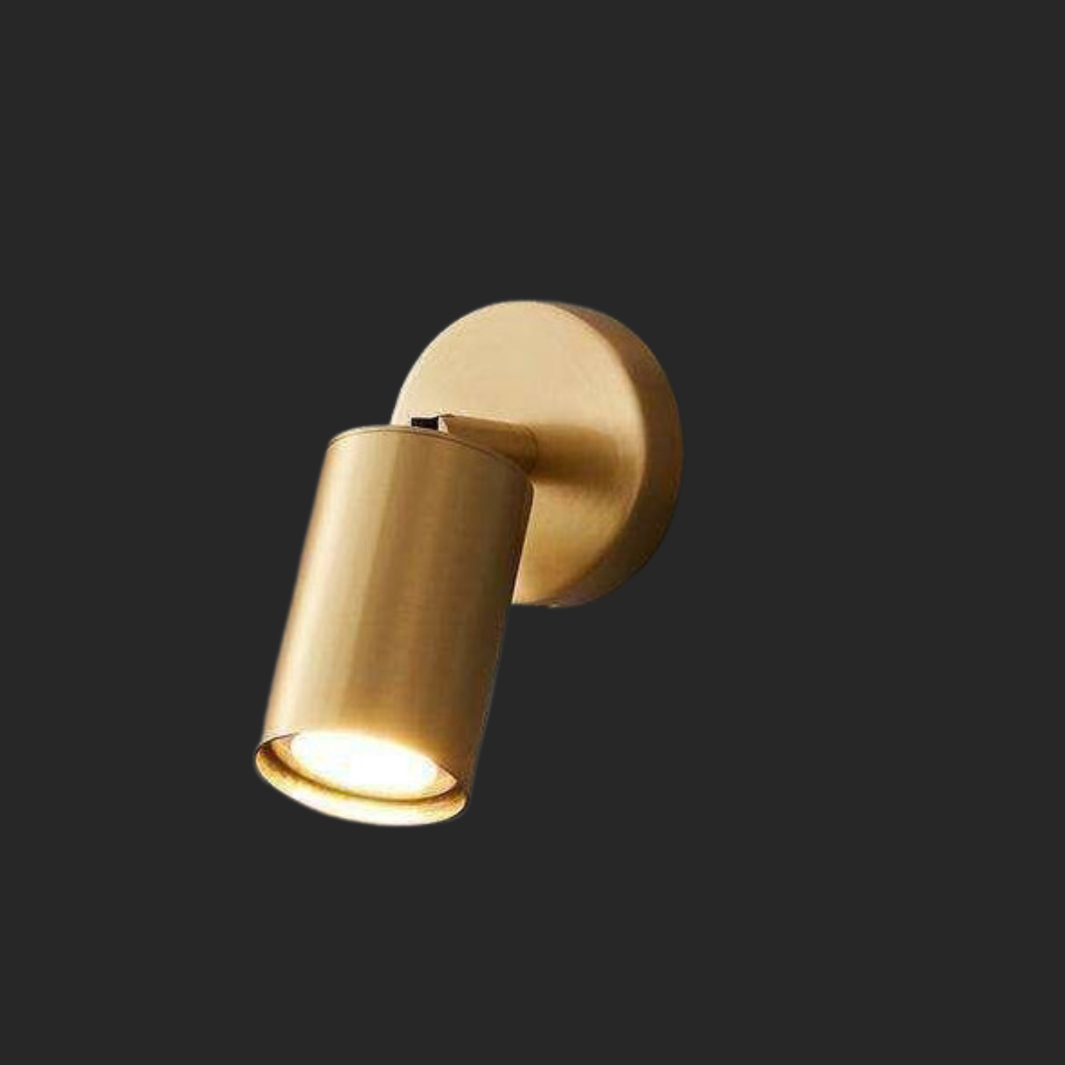 Oliver 1 : Indoor Directional Wall Spot Light