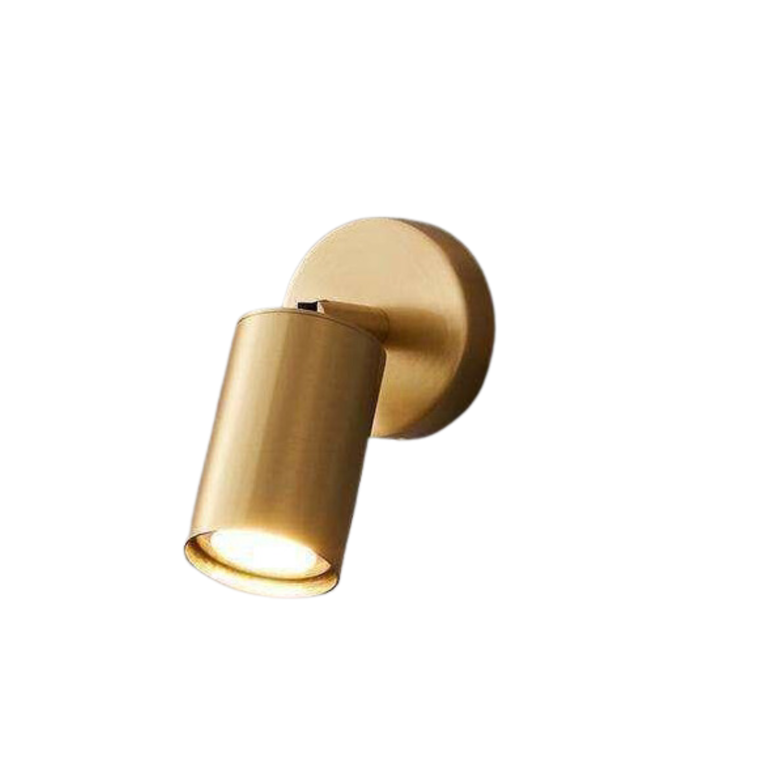 Oliver 1 : Indoor Directional Wall Spot Light